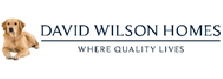 David Wilson