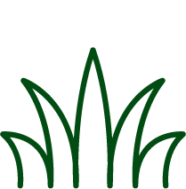 grass icon