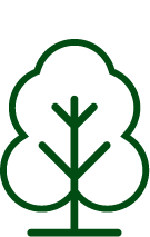tree icon