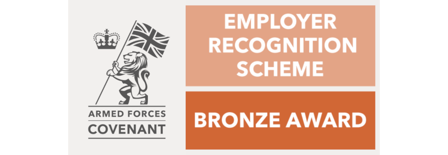 ecs bronze award