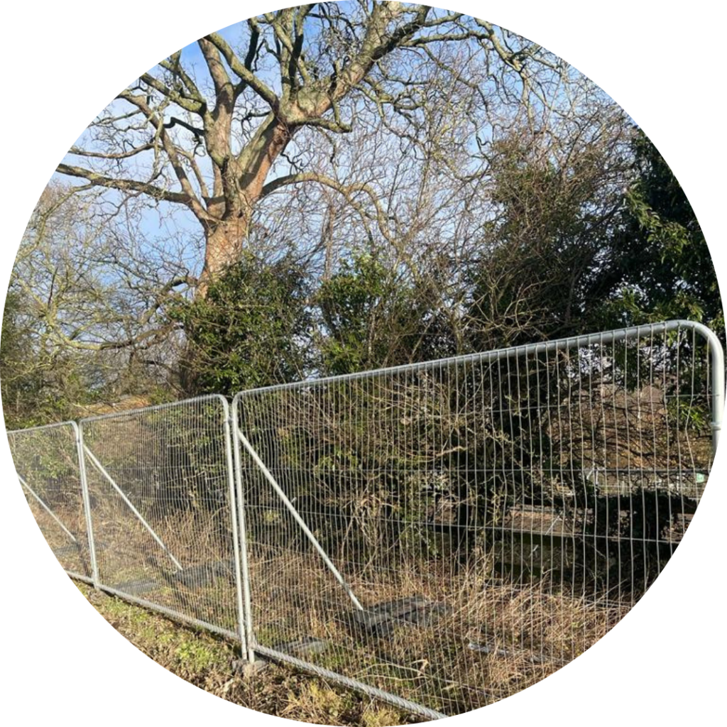 HDL Tree Protection Measures